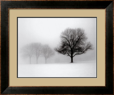 Winter Trees I Framed Print Winter Trees I Framed Print