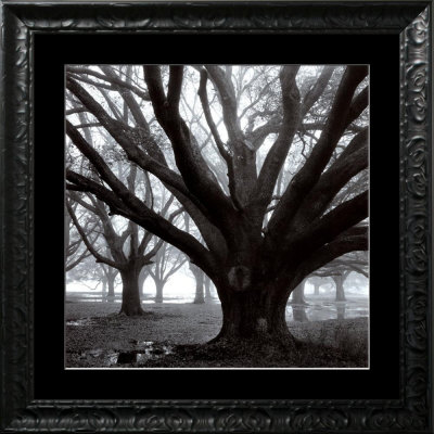 Oak Grove, Winter Framed Print Oak Grove, Winter Framed Print