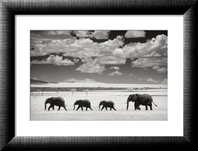 Elephants and Clouds Framed Print Elephants and Clouds Framed Print