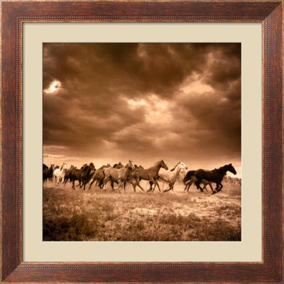 Remuda No. 6 Framed Print Remuda No. 6 Framed Print