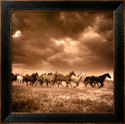 Remuda No. 6 Framed Print Remuda No. 6 Framed Print