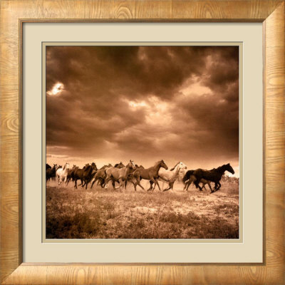 Remuda No. 6 Framed Print Remuda No. 6 Framed Print