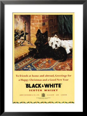 Black and White Scotch Framed Print Black and White Scotch Framed Print