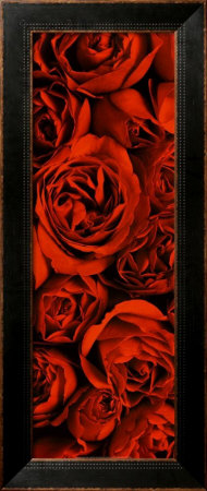 Serenity (2005) Framed Print Serenity (2005) Framed Print