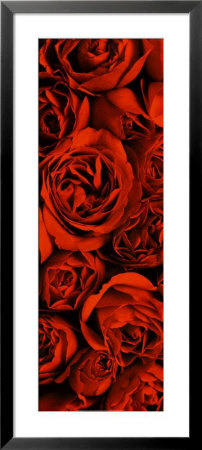 Serenity (2005) Framed Print Serenity (2005) Framed Print