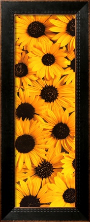 Serenity (2005) Framed Print Serenity (2005) Framed Print