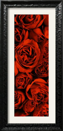 Serenity (2005) Framed Print Serenity (2005) Framed Print