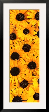 Serenity (2005) Framed Print Serenity (2005) Framed Print
