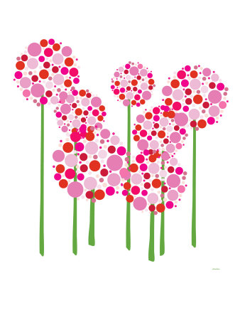 Pink Allium Stretched Canvas Print