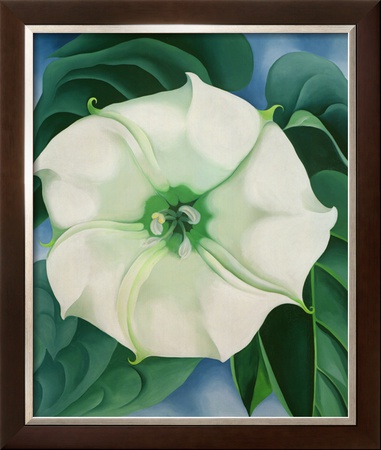 Jimson Weed, 1932 Framed Print Jimson Weed, 1932 Framed Print