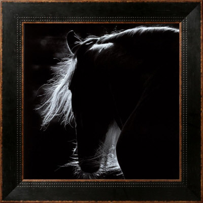 Mane Framed Print Mane Framed Print
