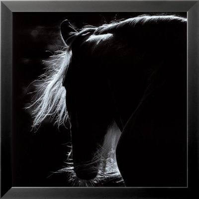Mane Framed Print Mane Framed Print