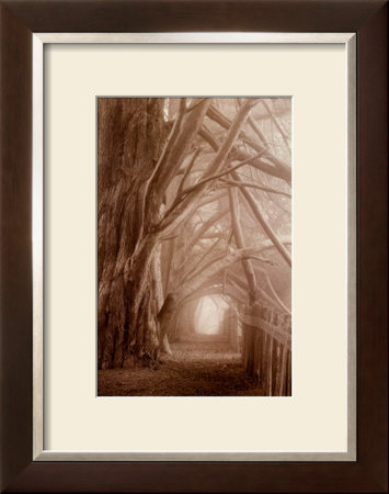 Enchanted Path Framed Print Enchanted Path Framed Print