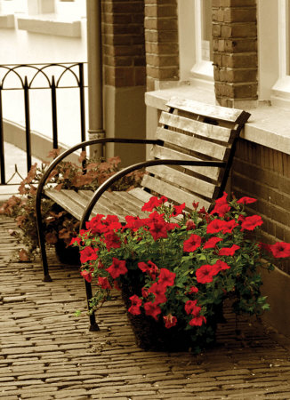 Flower Bench Print Flower Bench Print