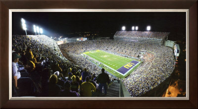 LSU Tigers Framed Print LSU Tigers Framed Print