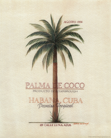 Palma de Coco Print by Beth Yarbrough at Art.com