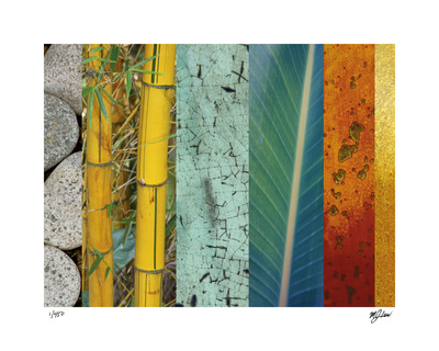 Rainforest Zen II Limited Edition Rainforest Zen II Limited Edition
