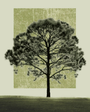 Natures Shapes I Print Natures Shapes I Print
