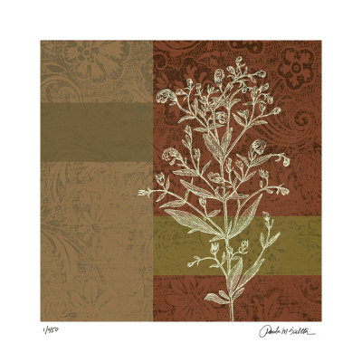 Plant Study III Limited Edition Plant Study III Limited Edition