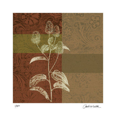Plant Study IV Limited Edition Plant Study IV Limited Edition