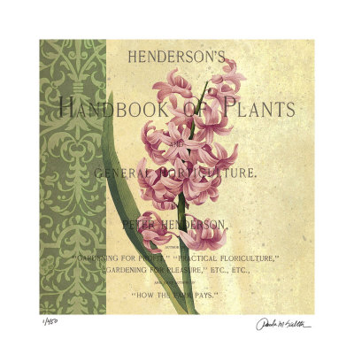 Hyacinth Limited Edition Hyacinth Limited Edition