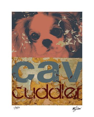 Cavalier Cuddler Limited Edition Cavalier Cuddler Limited Edition