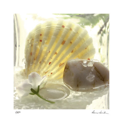 Spa Garden IV Limited Edition Spa Garden IV Limited Edition