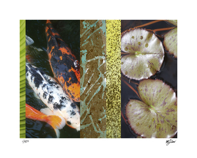 Koi Pond I Limited Edition Koi Pond I Limited Edition