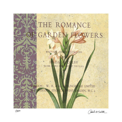 Gladiolus II Limited Edition Gladiolus II Limited Edition