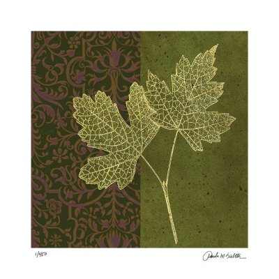 Maple Limited Edition Maple Limited Edition