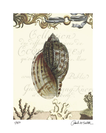 Coquilles III Limited Edition Coquilles III Limited Edition