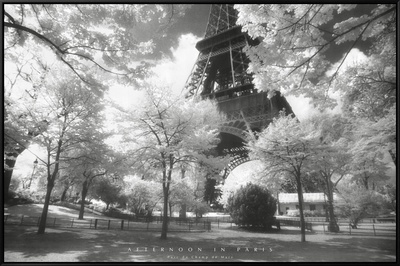 Afternoon In Paris Framed Canvas Print Afternoon In Paris Framed Canvas Print