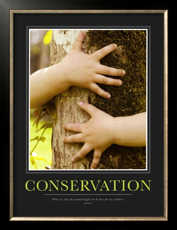 Conservation Framed Print Conservation Framed Print