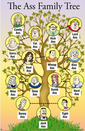 The Ass Family Tree Poster The Ass Family Tree Poster