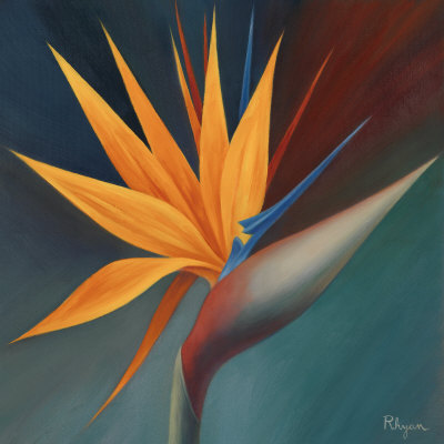 Bird of Paradise I Print Bird of Paradise I Print