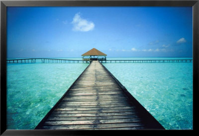 Paradise Waters Framed Print Paradise Waters Framed Print