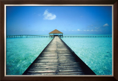 Paradise Waters Framed Print Paradise Waters Framed Print