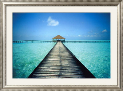 Paradise Waters Framed Print Paradise Waters Framed Print