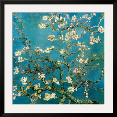 Almond Branches in Bloom, San Remy, c.1890 Framed Print Almond Branches in Bloom, San Remy, c.1890 Framed Print