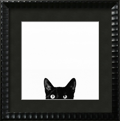 Curiosity Framed Print Curiosity Framed Print