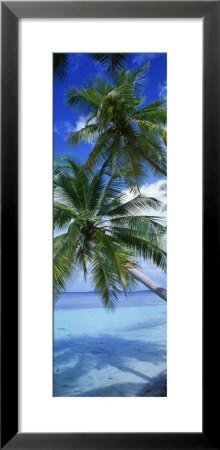 Maldives Framed Print Maldives Framed Print