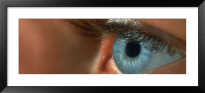 Human Eye Framed Print Human Eye Framed Print