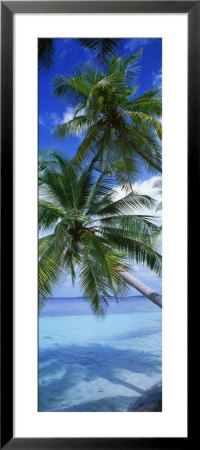 Maldives Framed Print Maldives Framed Print