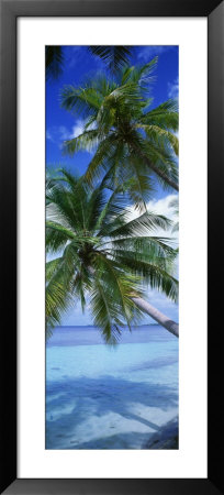Maldives Framed Print Maldives Framed Print