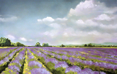 Lavender Fields Hand Painted Art Lavender Fields Hand Painted Art