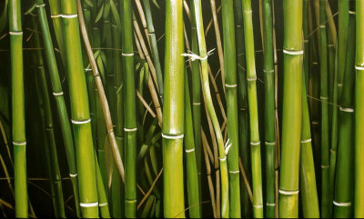 Bamboo Excitement Hand Painted Art Bamboo Excitement Hand Painted Art