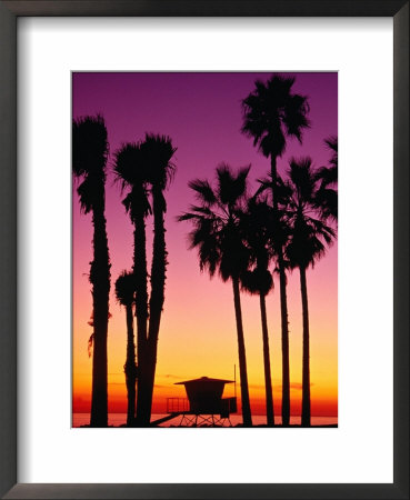 sunset on beach with palm trees. Palm Trees at Sunset,