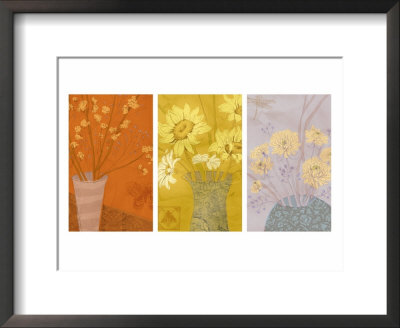 Floral Sketches Triptych Framed Print Floral Sketches Triptych Framed Print