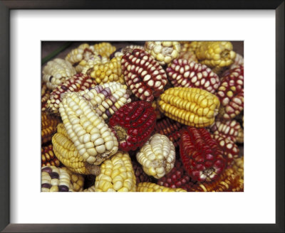 Corn, Maize, Peru Framed Print Corn, Maize, Peru Framed Print