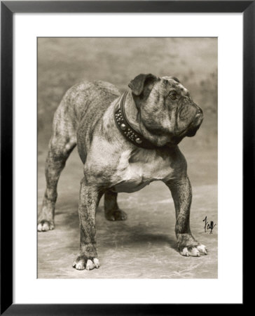 Champion Pressgang Framed Print Champion Pressgang Framed Print